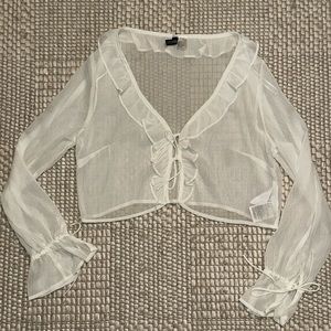 Sheer Blouse